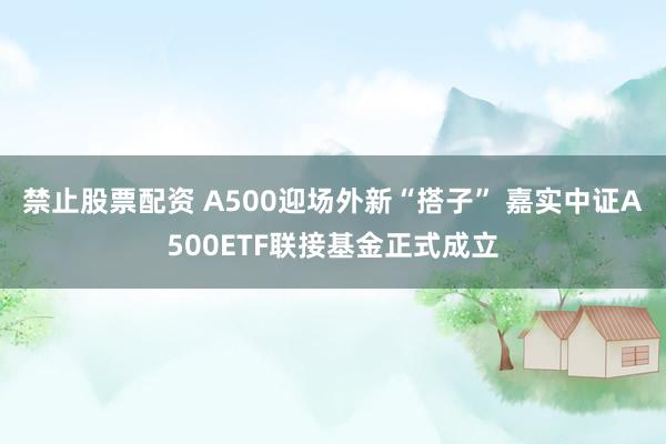 禁止股票配资 A500迎场外新“搭子” 嘉实中证A500ETF联接基金正式成立