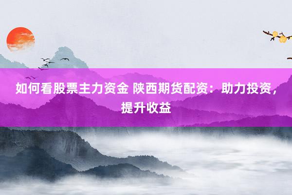 如何看股票主力资金 陕西期货配资：助力投资，提升收益